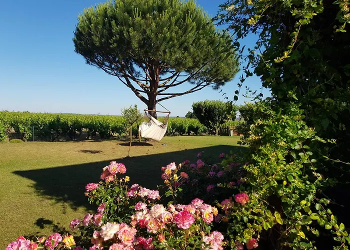 Nocleg ze śniadaniem Entre Loire Et Vignobles Liré